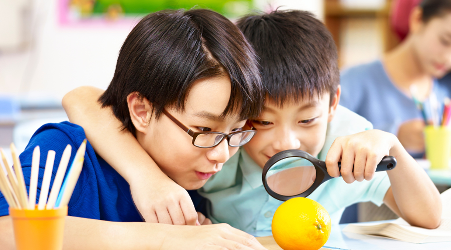 two boys looking at an orange through a magnifying glass